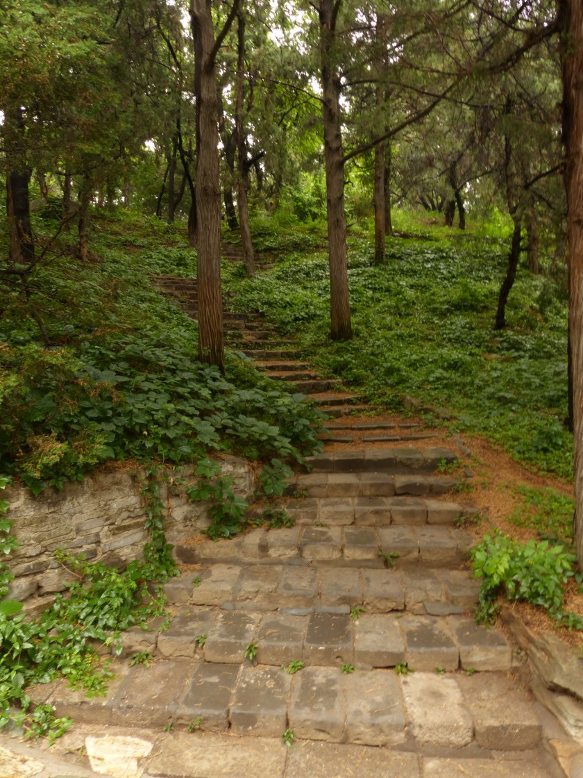 behind_longevity_hill